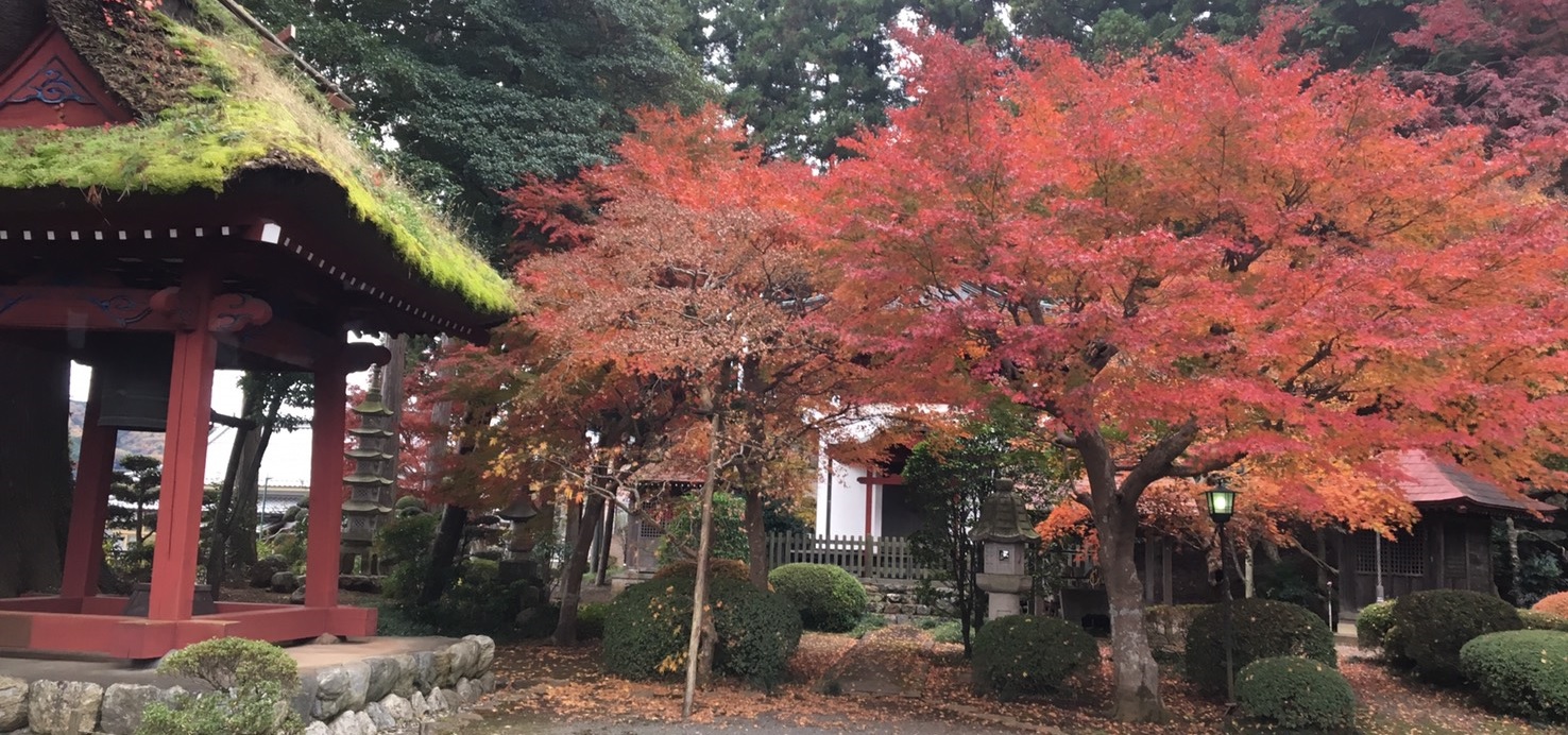 安楽寺 11月28日 おうめ観光ガイド