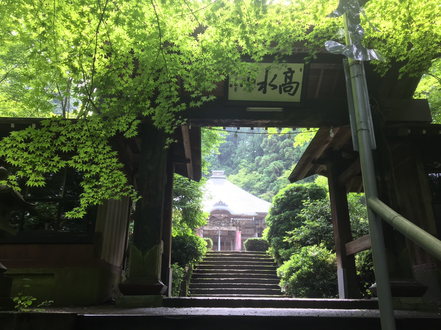 ゆったり高水三山ハイキングツアー おうめ観光ガイド